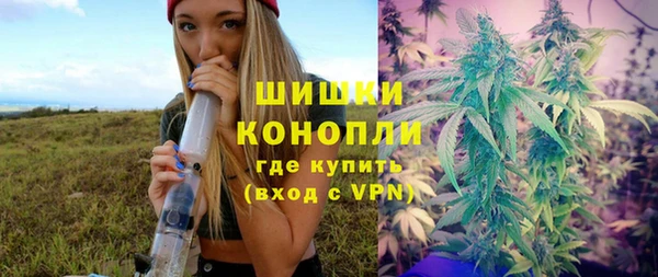 гидропоника Елабуга