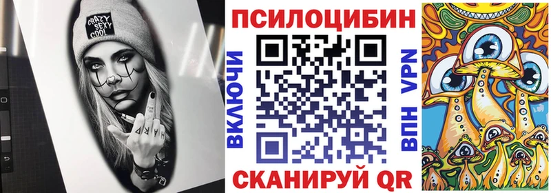 Псилоцибиновые грибы Psilocybine cubensis  Купить  Кизляр 